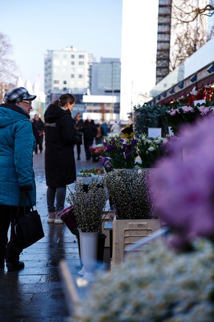 At a flower stall at Chrisp Street Market, a customer in a blue winter coat and black hat is examining a vibrant bouquet as a staff member from cubitttownflorist.co.uk assists nearby, surrounded by an