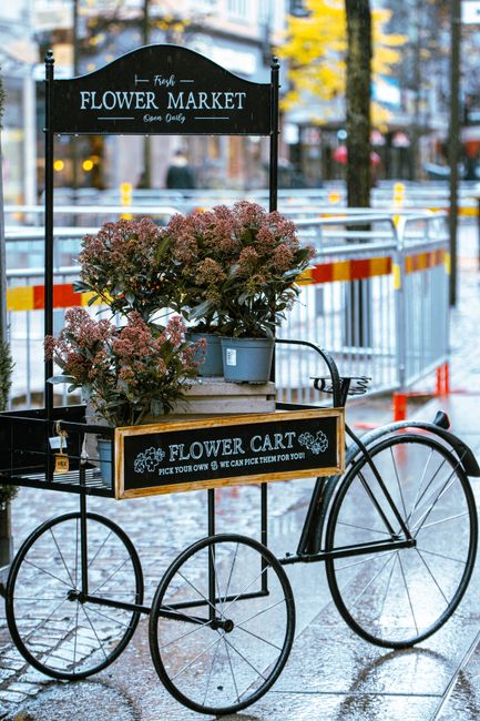 A vintage-style black metal bicycle cart parked outdoors near a street with tram tracks, featuring a large potted pinkish-red hydrangea plant with lush, rounded flower clusters and green foliage. The 